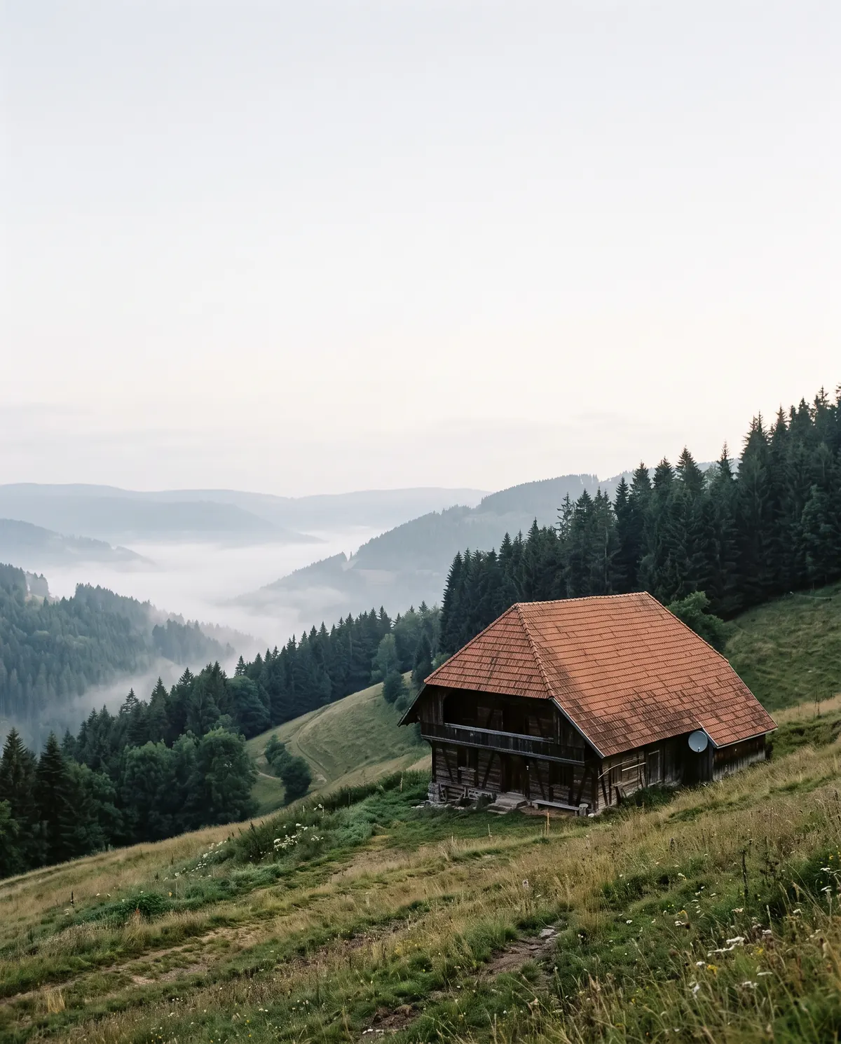 Einzelner Schwarzwaldhof am Hang mit kleiner Satellitenschüssel, darunter Nebel im Tal